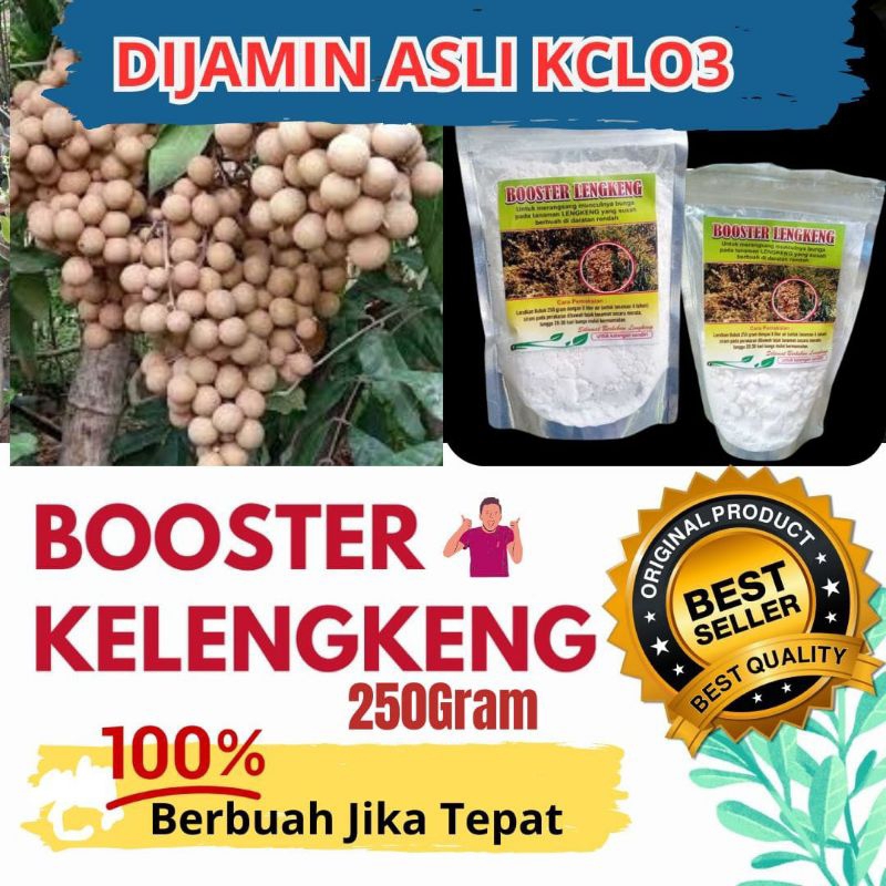 JAMIN ASLI.. Booster kelengkeng kclo3 murni 250gram