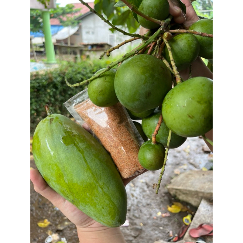 

paket mangga muda+mangga Kionjay fre bumbu si tetehtetehcianjur