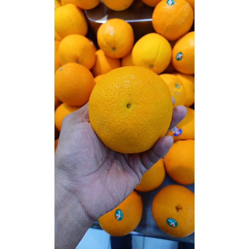 

jeruk Navel Caracara orenz ‼️50.000/kg ‼️ bisa kirim instan area Surabaya