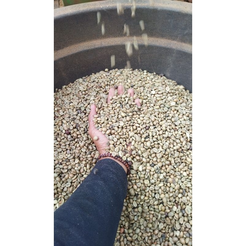 

Green Bean Robusta Sumatera Pakpak (Petani Langsung)
