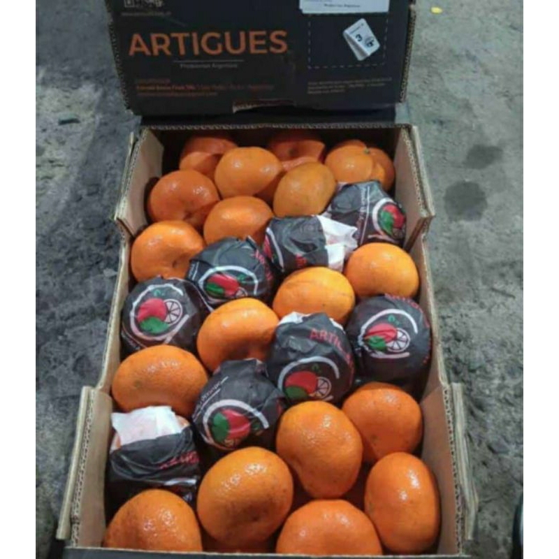 

Jeruk wogam mandarin 1 kg