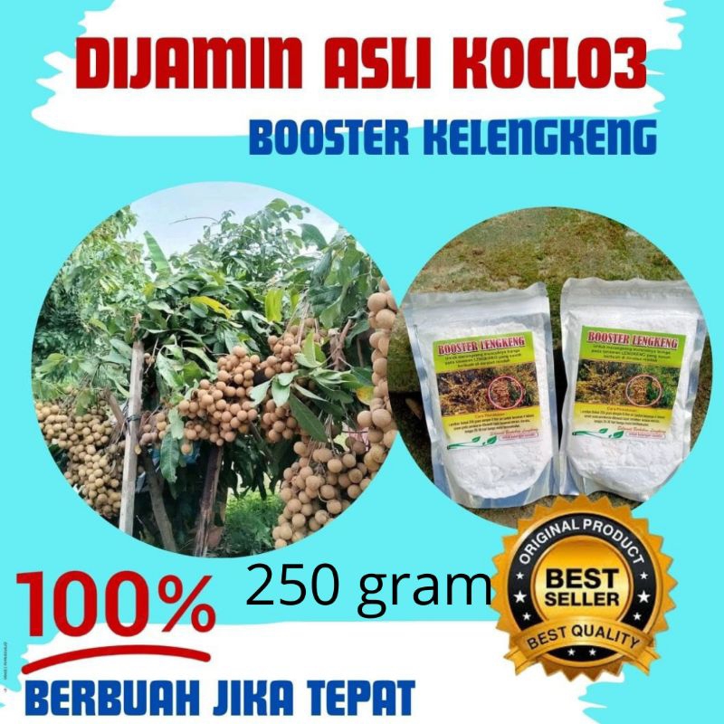 JAMIN ASLI  Booster kelengkeng 25kg, booster kelengkeng sodium, 
booster klengkeng new kristal
