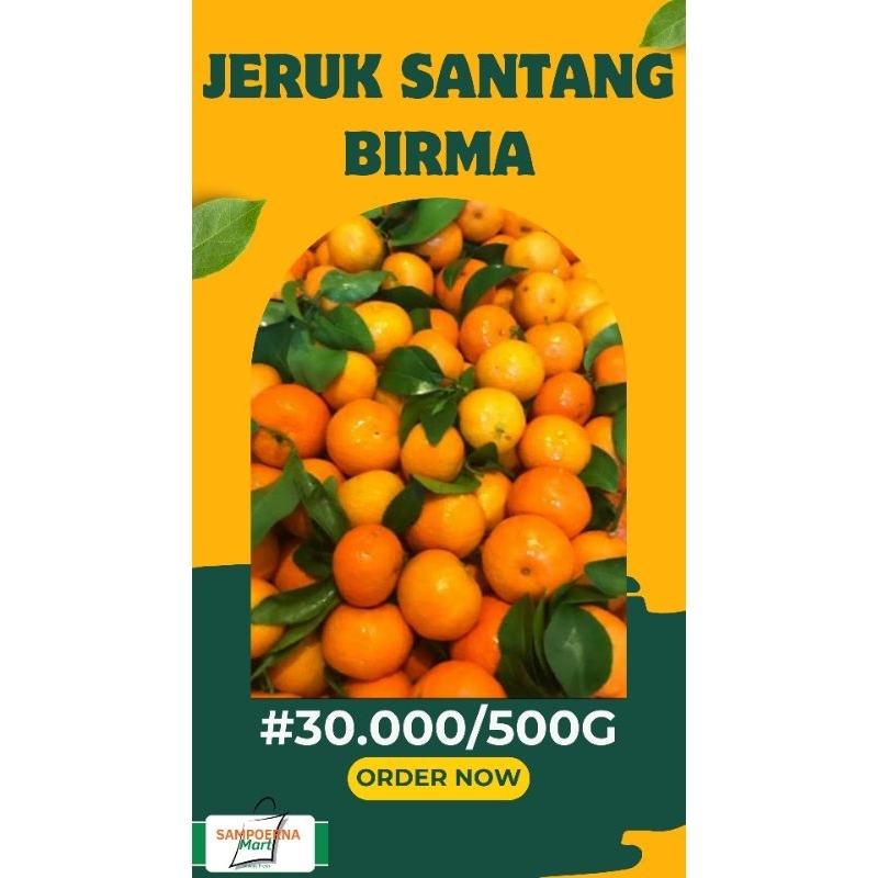

Jeruk Santang Birma Manis 500g