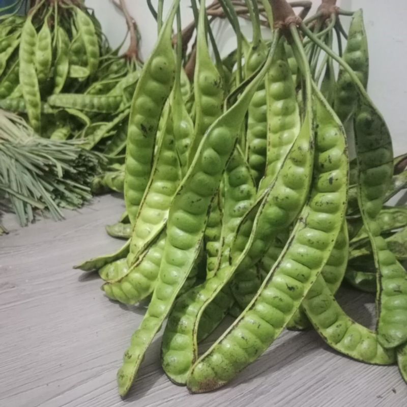 

PETE MANIS SUPER PENGAMBILAN BANYAK BEDA HARGA