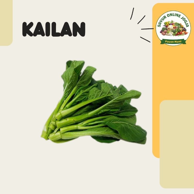 

Kailan Kaylan 100gr - PAWON MAMI SAYUR ONLINE JOGJA