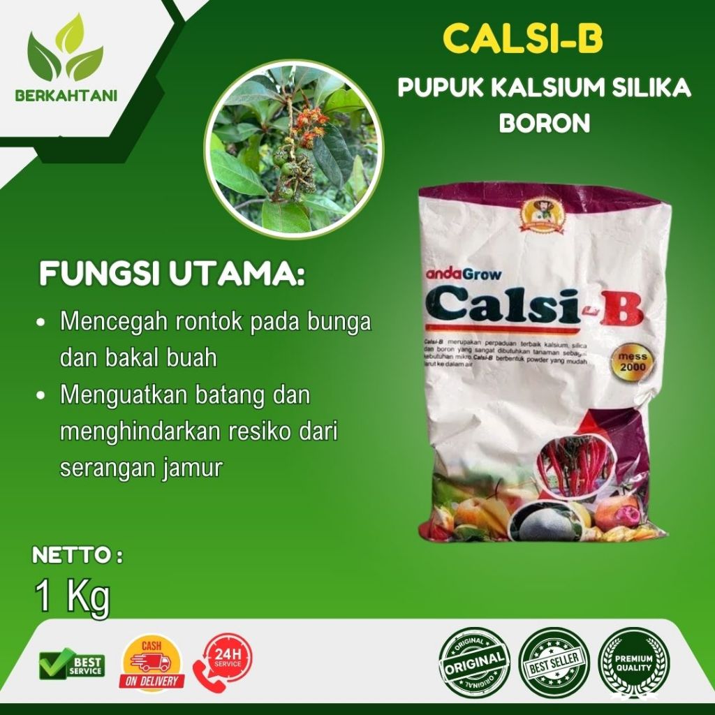 Calsi-B 1 Kg Pupuk Kalsium Silika Boron