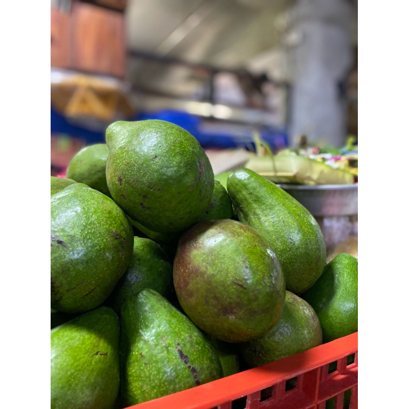 

Buah Alpukat Segar Fresh Aocado