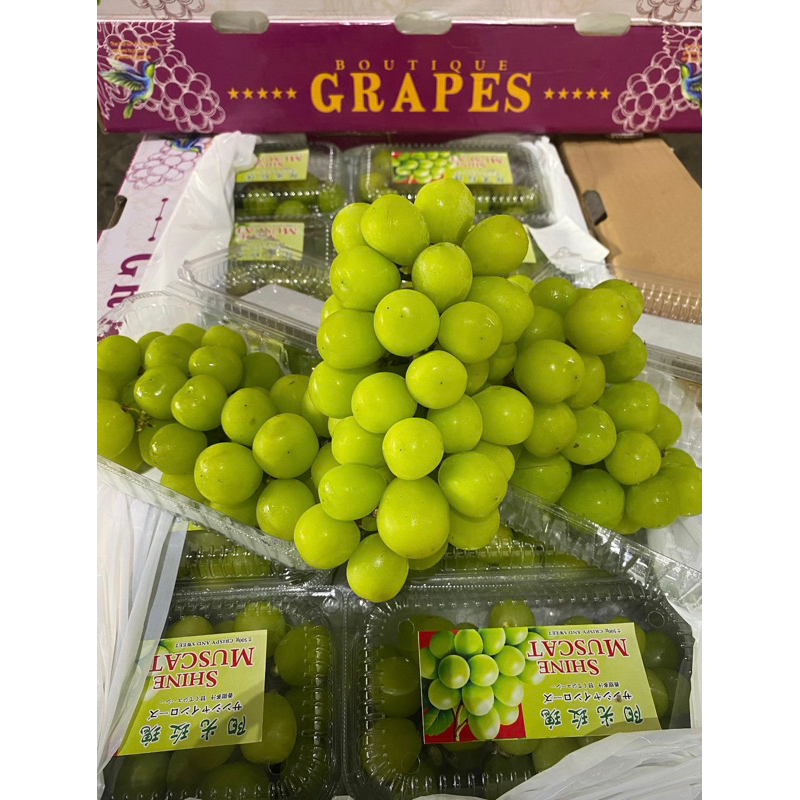 

Anggur Muscat 500grm / pack
