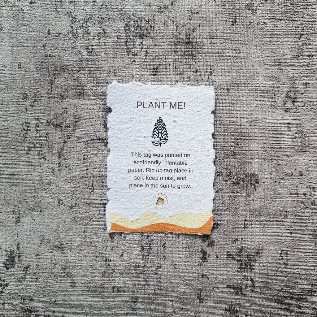 

Kartu Ucapan A7 Custom (Tepi Acak)