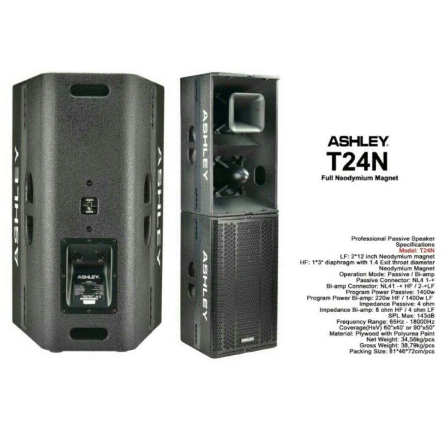 Speaker Pasif Professional Ashley T24N Neodymium Magnet Original Speaker Passive T 24N