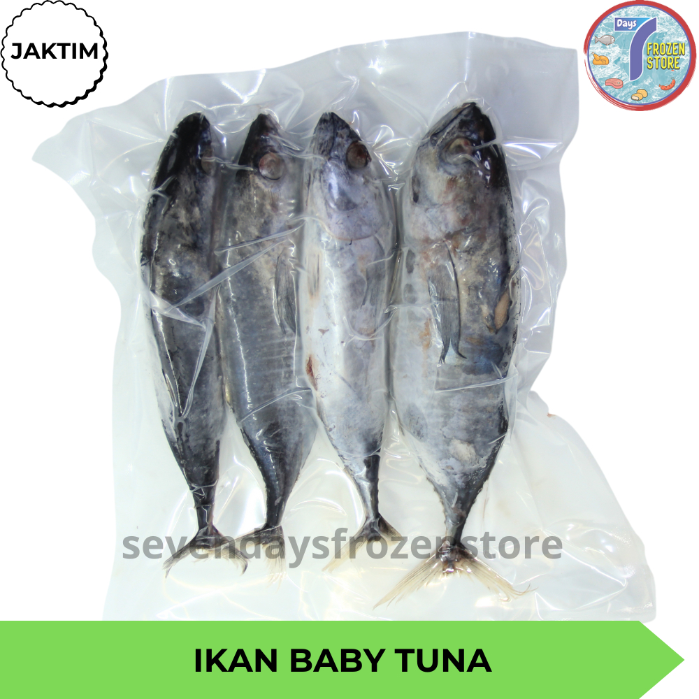 

Ay00! Ikan Baby Tuna Beku Kapal Frozen 1 kg