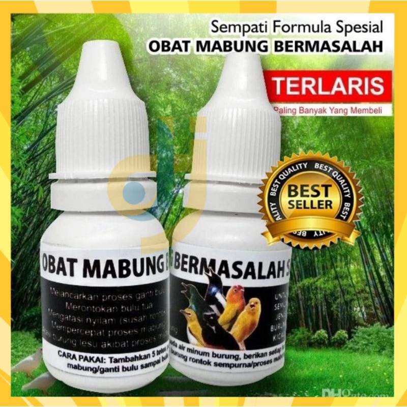 OBAT BURUNG MABUNG NGURAK BERMASALAH SEMPATI