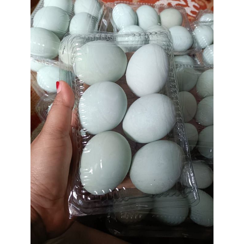 

TELUR ASIN