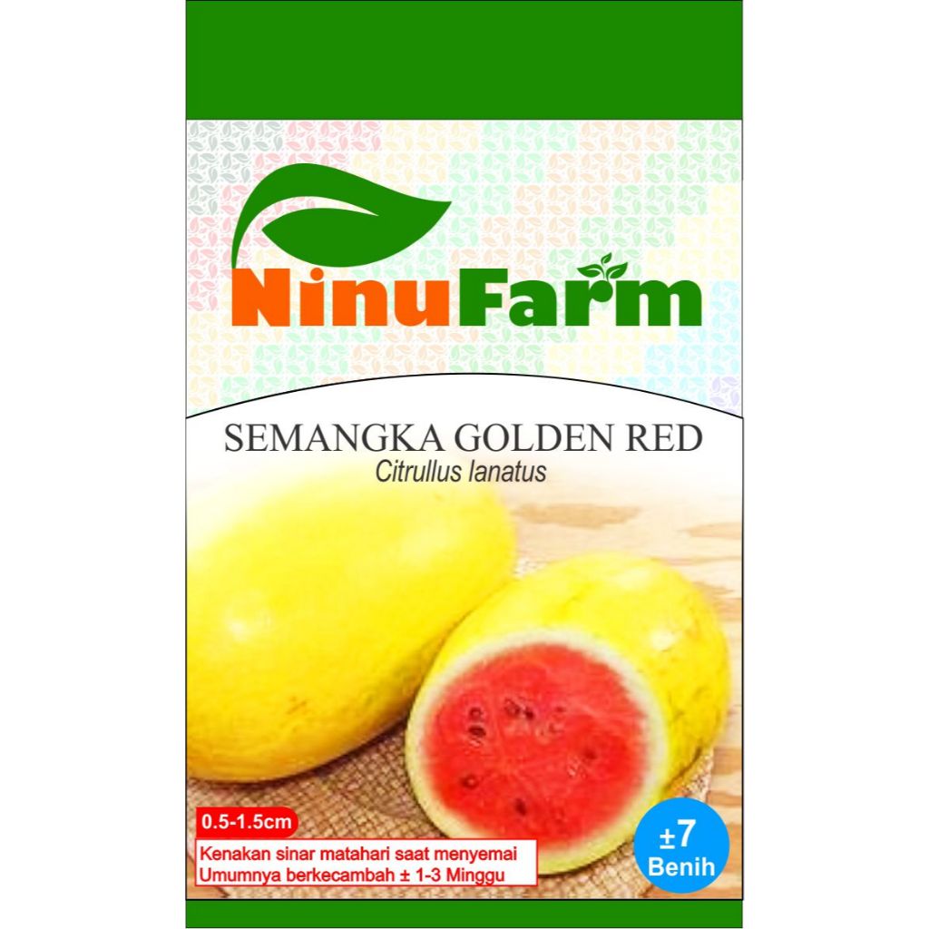 Benih Semangka Golden Red 7Seeds