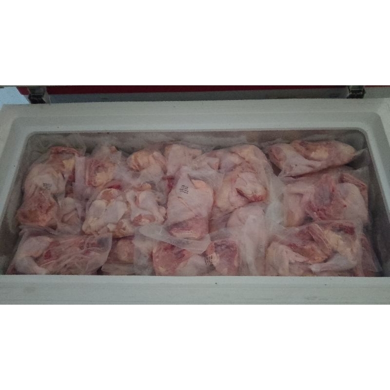 

Ayam boiler ukuran 800-900 pot 4