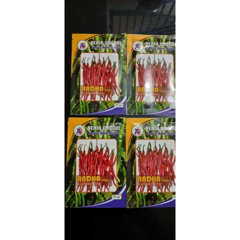 Benih CMK Radha Unggulan Sumatera Barat