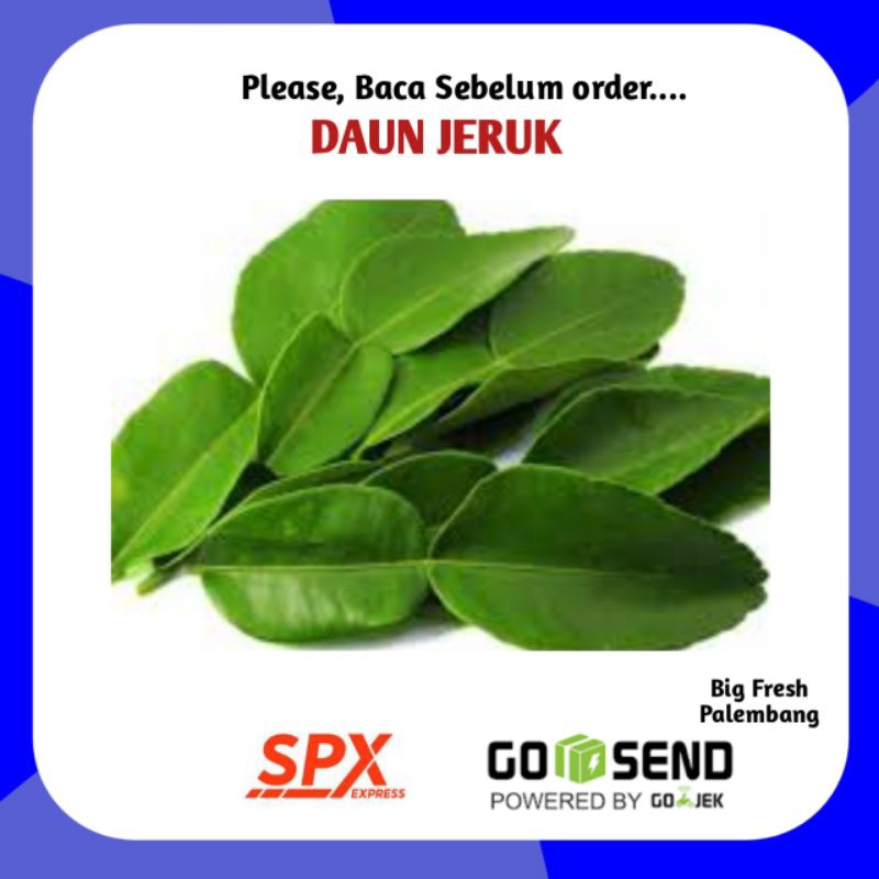

Daun Jeruk Per Pack - Sayur Sayuran Online Palembang