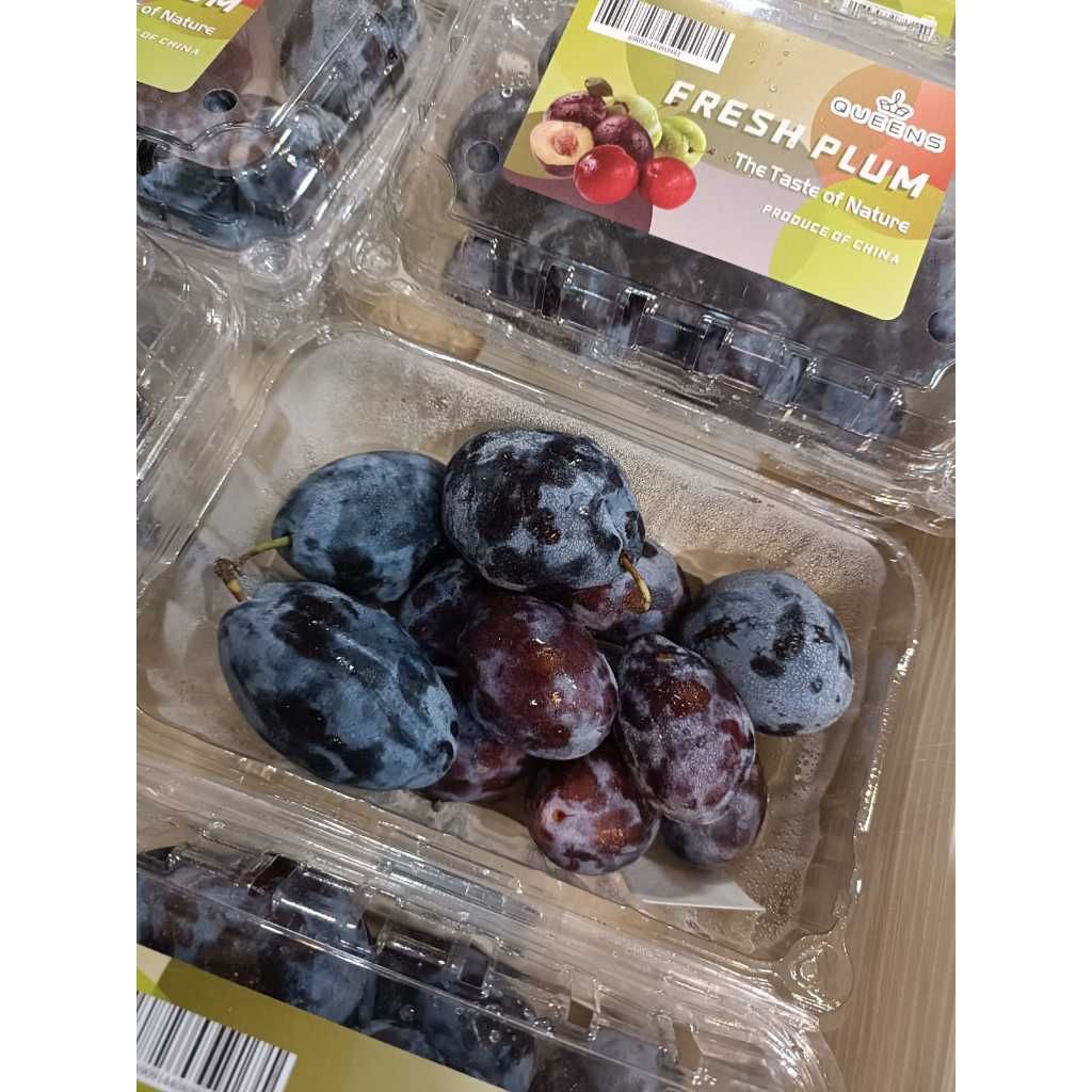 

SUGAR PLUM - PLUM IMPORT - SUKABUAH