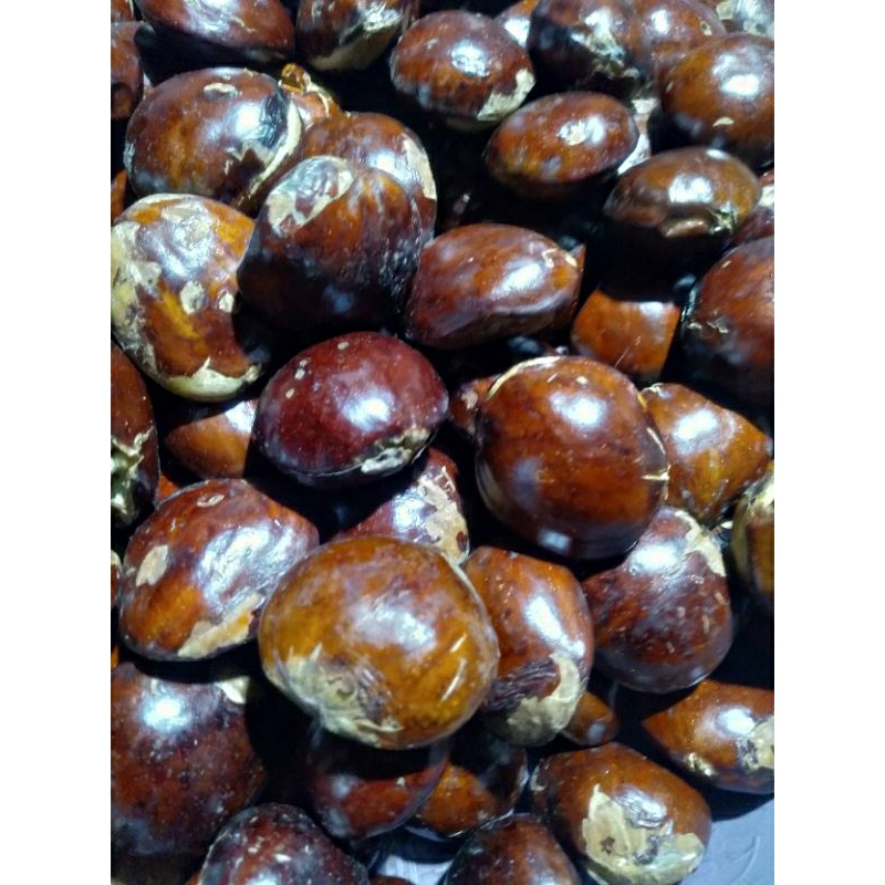 

Biji Jering / Jengkol / Jiringa segar 500 gram