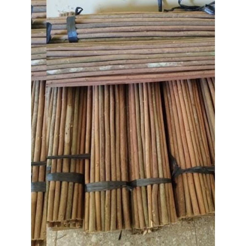 tangkringan burung kayu asem jawa 2pc 6000