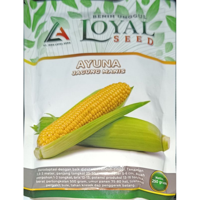 

JAGUNG MANIS AYUNA CAP LOYAL SEED KEMASAN 250 GR
