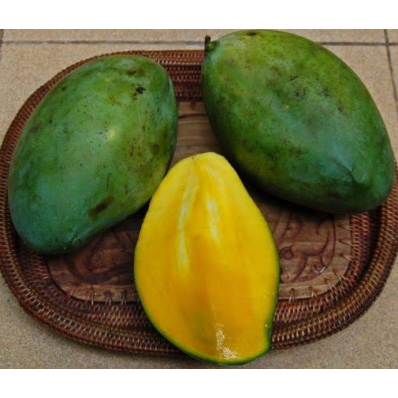

MANGGA SITUBONDO ASLI INDRAMAYU 1KG
