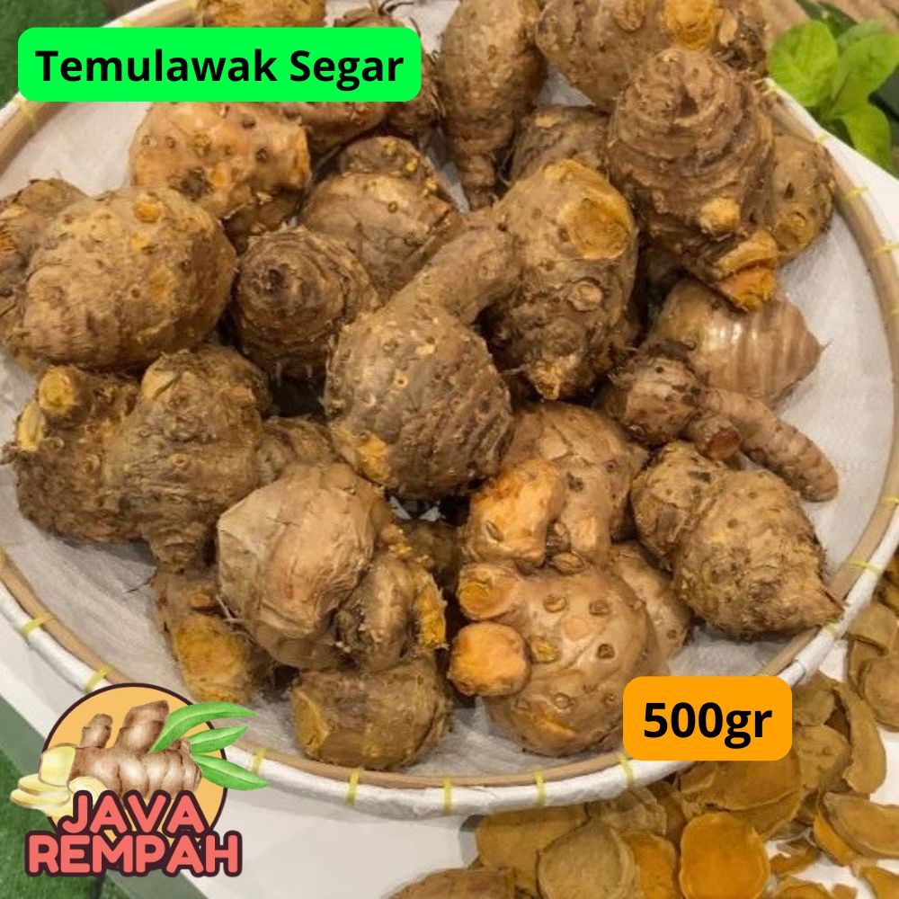 

Temulawak segar 1/2 500gr