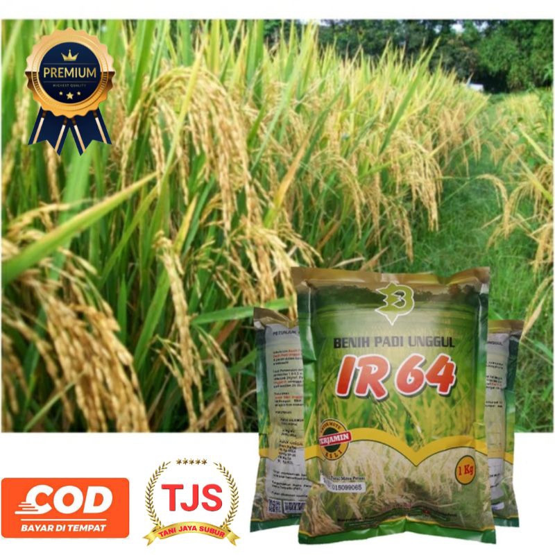 Benih Padi IR 64 / IR 64 Kemasan 1Kg