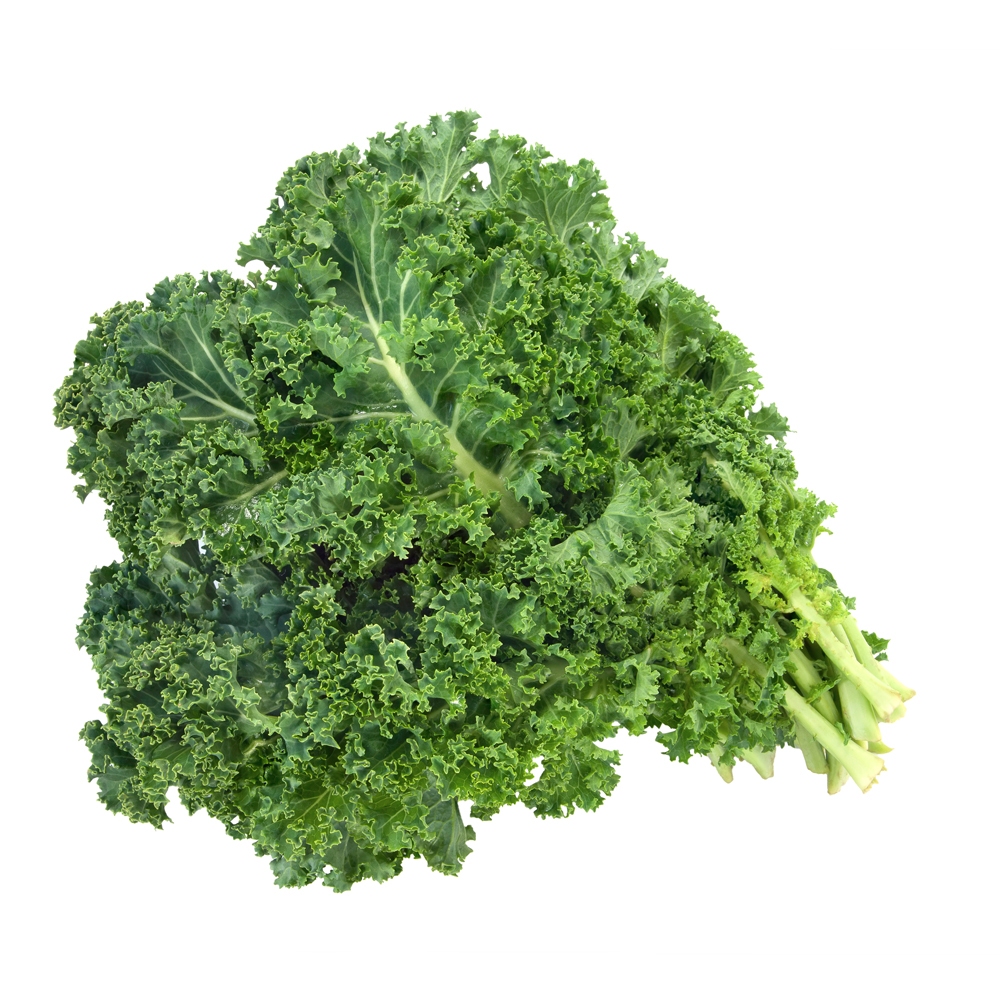 

FRESH CURLY KALE HYDROPONIC 100g