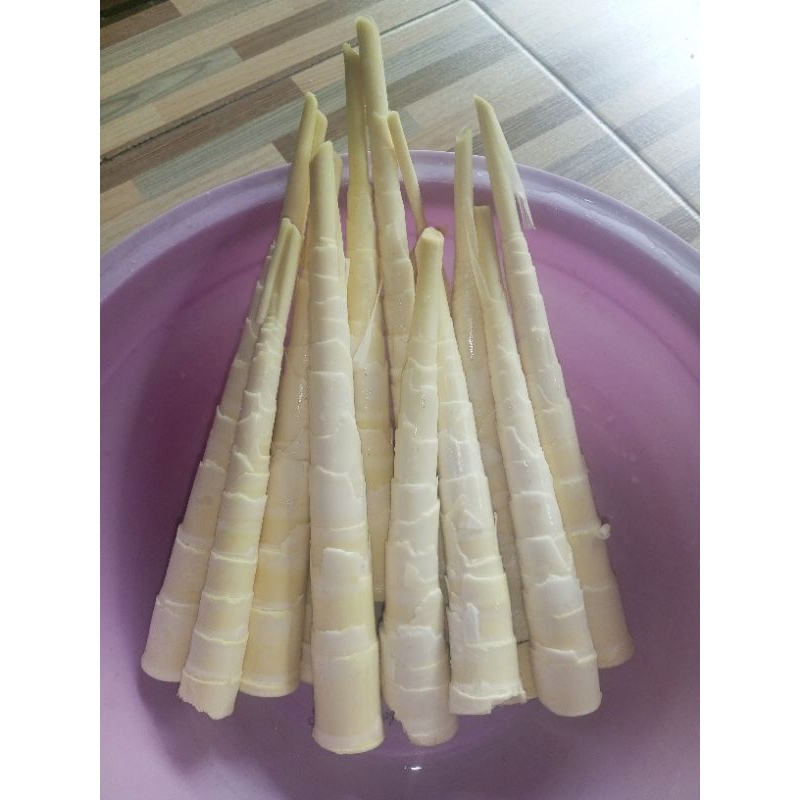 

Rebung Fress Tinggal Di Masak