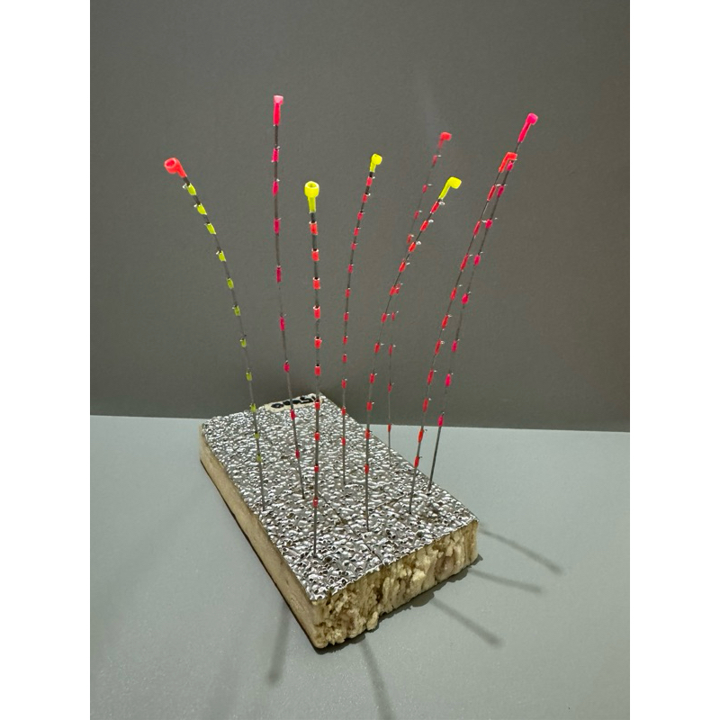 ENTUL TEGEK ENTUL IKAN NILA ENTUL OBRAL MURAH