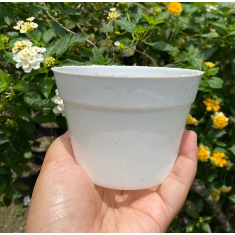 Pot 10 Putih, Pot bunga kecil, Pot Kaktus, Pot Tanaman, Pot Bibit