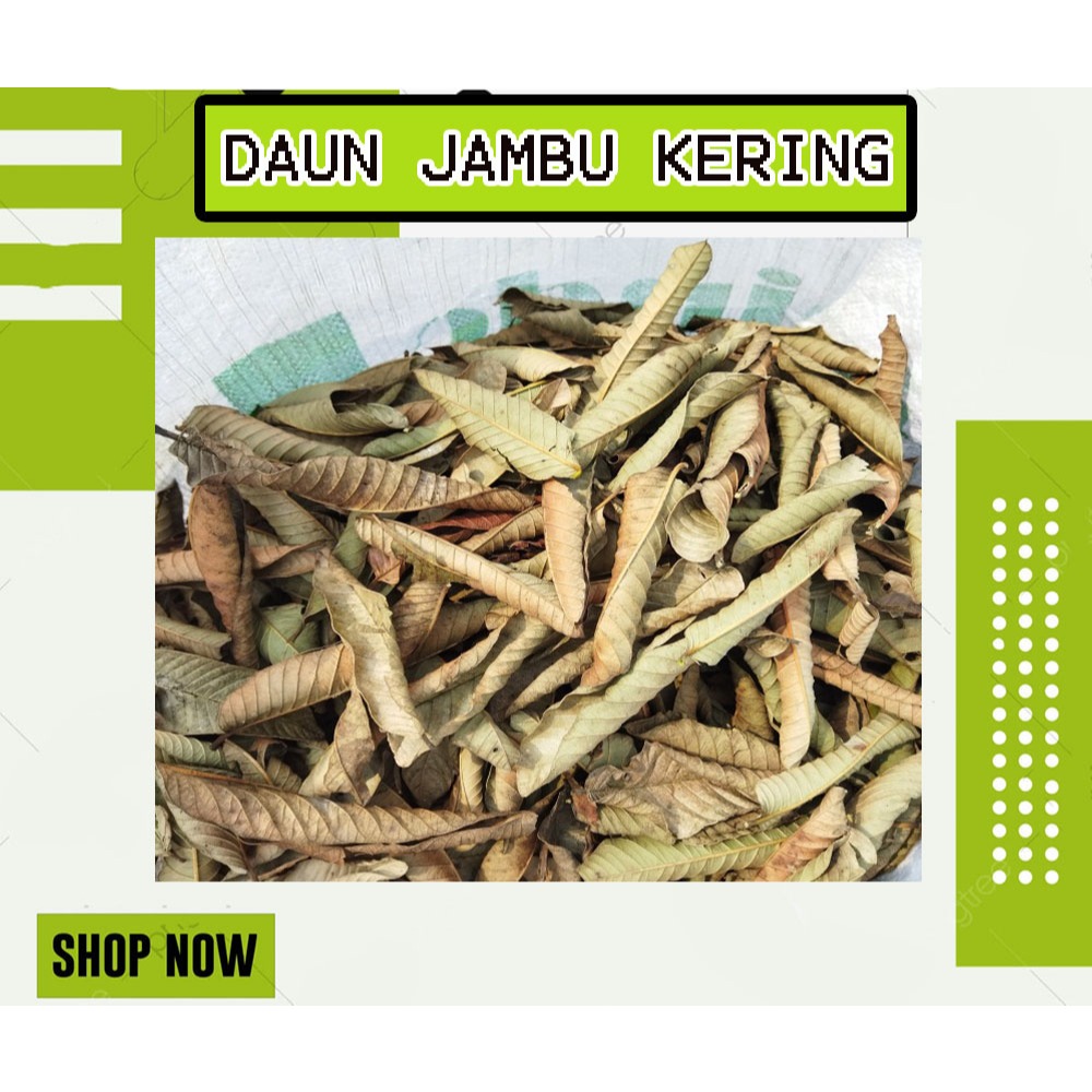 

DAUN JAMBU BIJI KERING GRADE A TERSEDIA BERAT 500GRAM MURAH DAN ANTI OKSIDAN