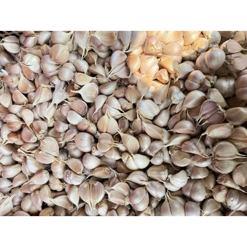 

Bawang Putih Kating | Bumbu Dapur