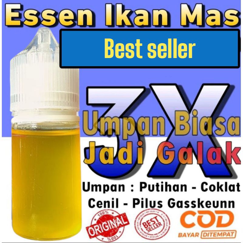 Essen Ikan Mas Lomba Galatama Galapung Indukan Babon, Essen Ikan Mas Indukan Babon, Essen Ikan Mas G