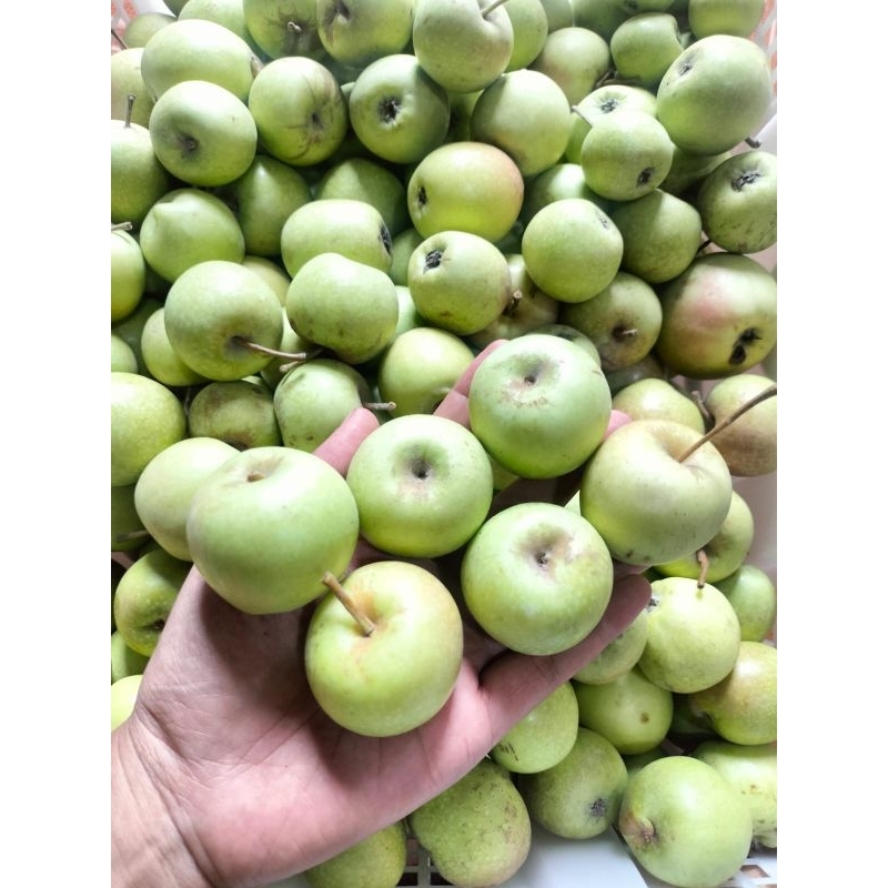 

Apel manalagi*✓1 kg