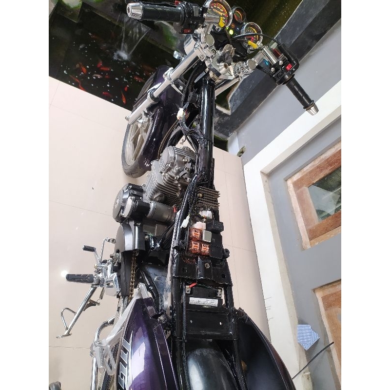 kabel body tiger kontes rapi ringkes