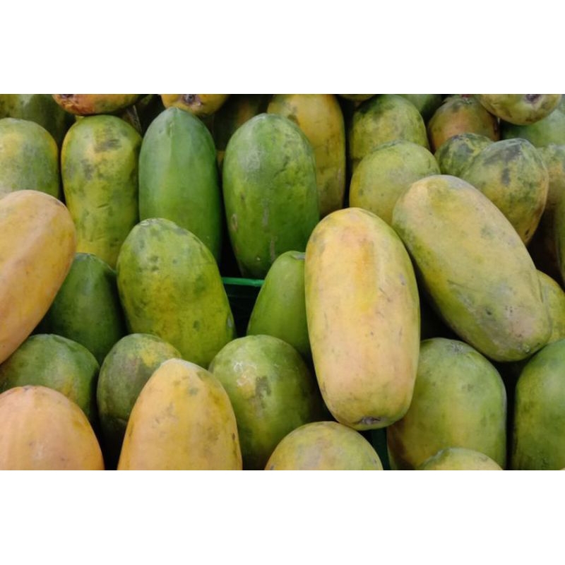 

Kirim Instan Pepaya California 1 Buah