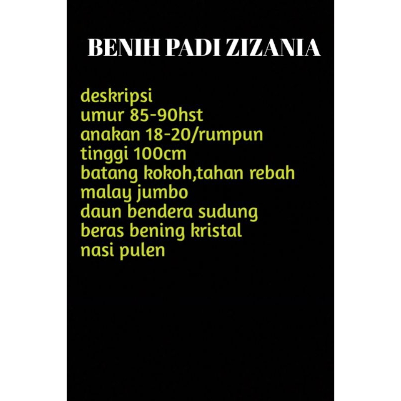 bibit padi ZIZANIA kemasan 1kg,padi galur jenis baru dengan hasil yang memuaskan