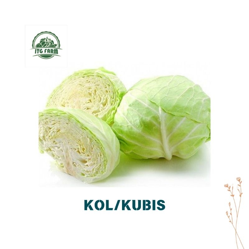 

Kol/Kubis 1kg