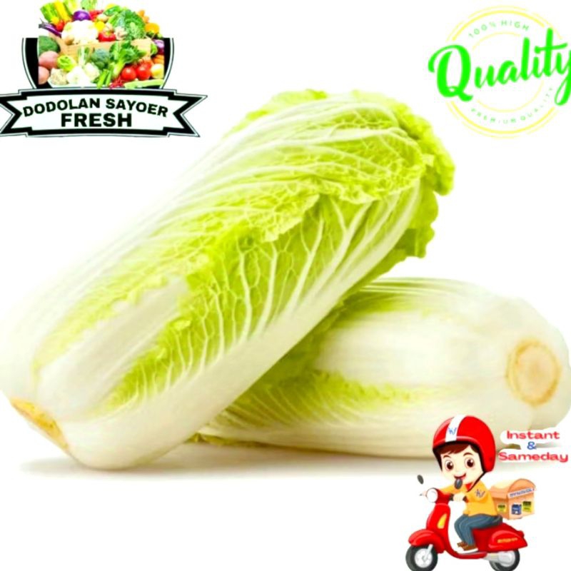 

Sawi Putih/sayur sawi Fresh pilihan