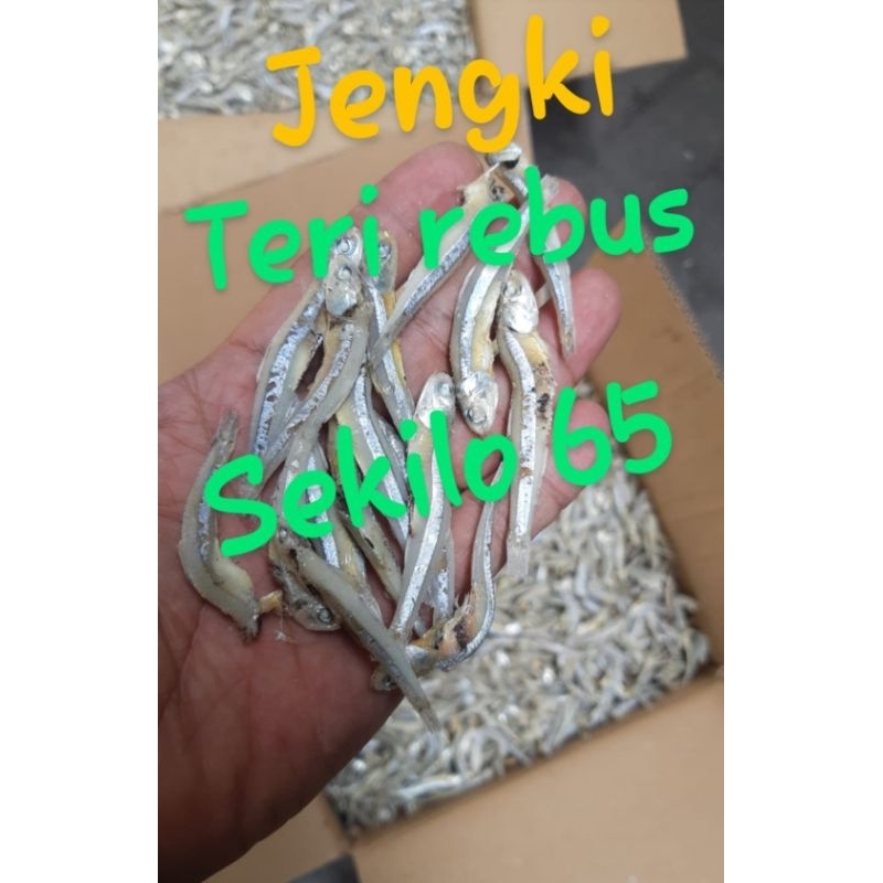 

Teri rebus jengki sekilo 65rb