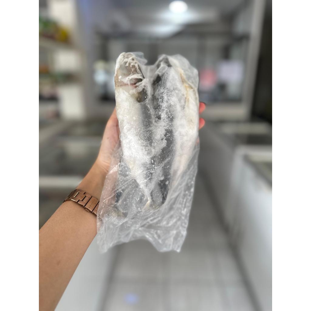 

IKAN KEMBUNG BANJAR 1KG/500GR