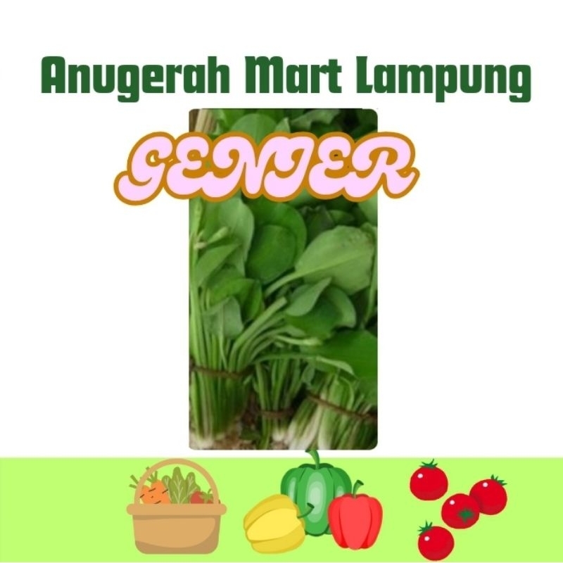 

Genjer Sayur Segar perikat Anugerah Mart Lampung