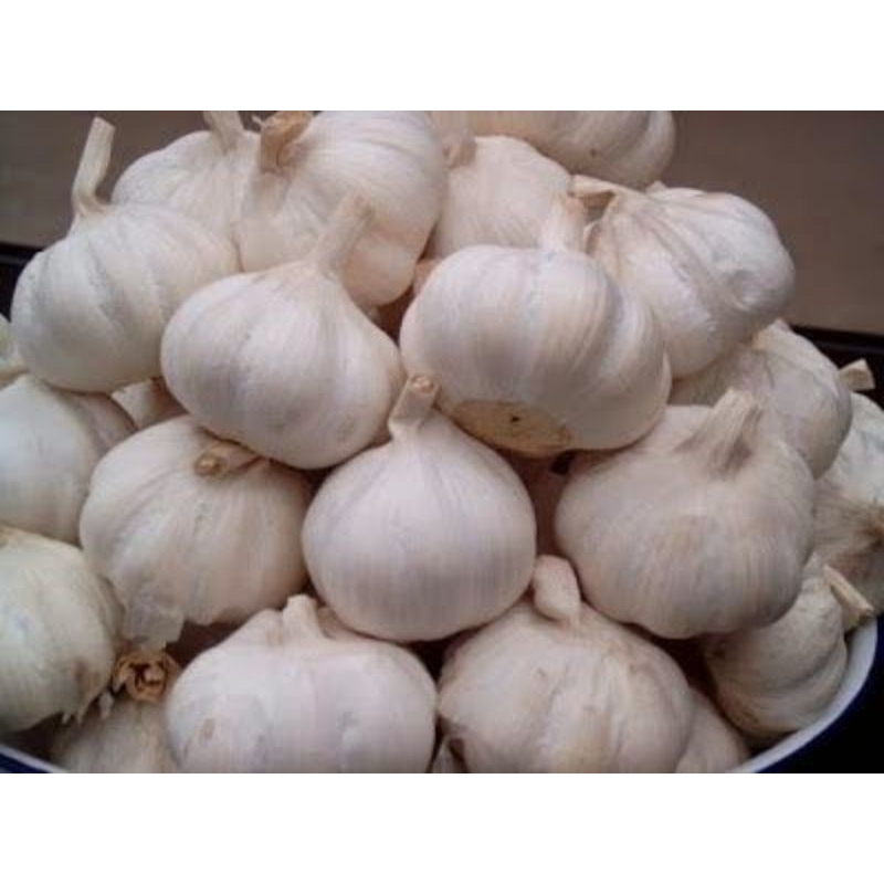 

Bawang putih super 500gr