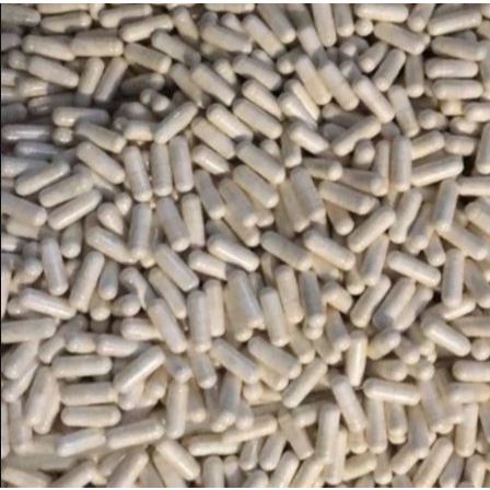 PRO ALBUMIN - 1 KAPSUL Ekstrak Ikan Gabus / Kutuk Vitamin Penambah Nafsu Makan Kucing & Penyembuh Lu