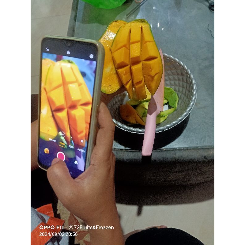 

MANGGA ALPUKAT BANGIL MATANG POHON