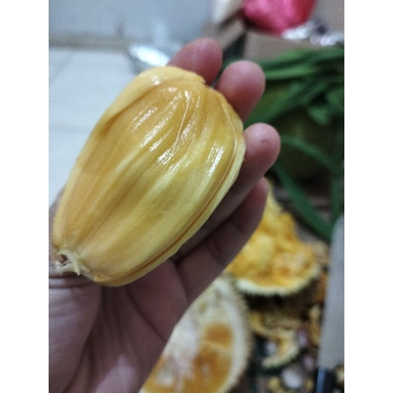 

nangka