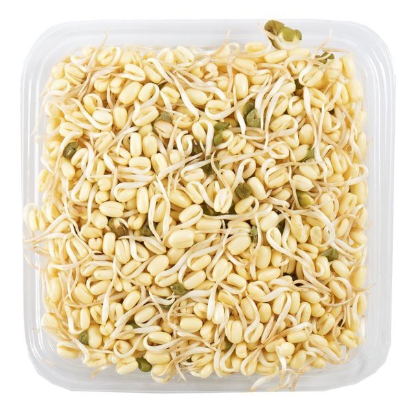 

TAUGE PENDEK 250gr