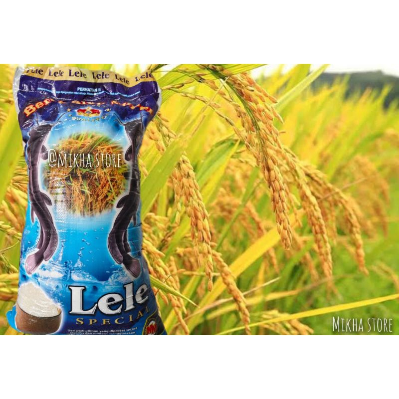 

Beras rojolele spesial 20 liter - free ongkir